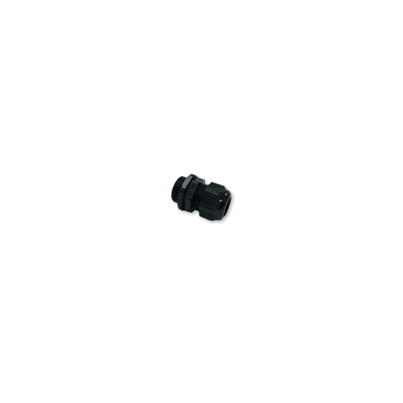 cgm25n63._copy